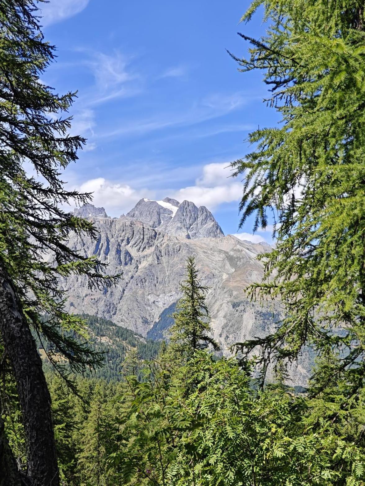 "La Batisse Des Pres" Διαμέρισμα Puy-Saint-Vincent Εξωτερικό φωτογραφία